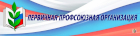 Первичная профсоюзная организация